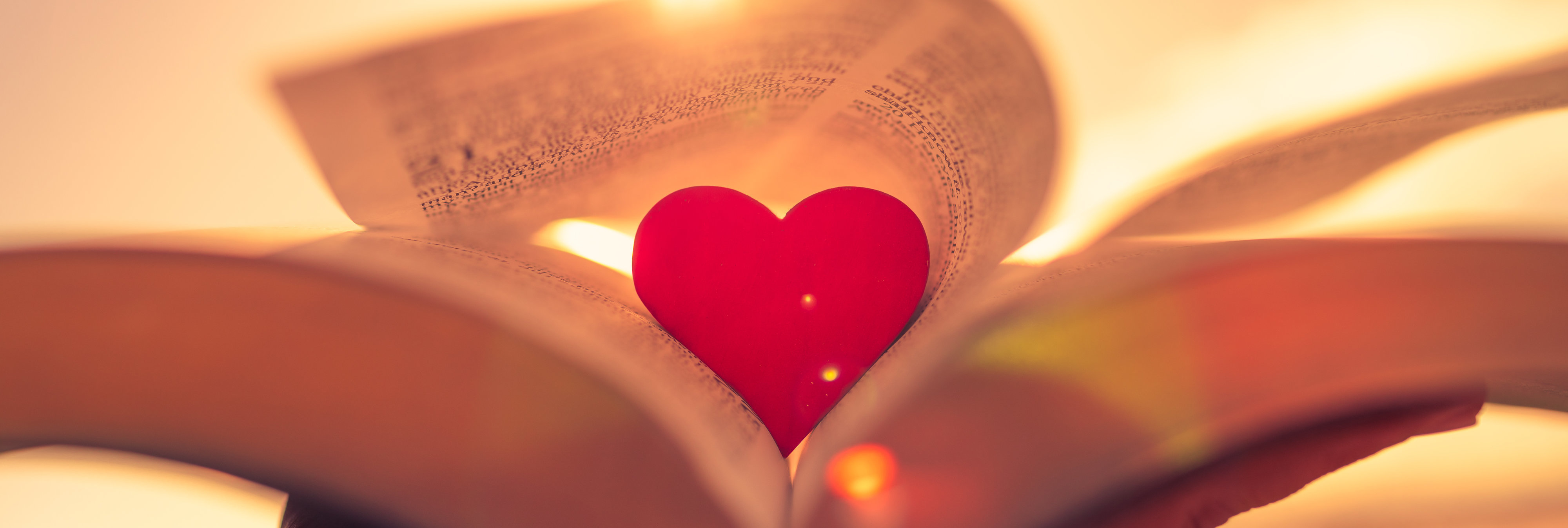 Alles, was ihr tut, geschehe in Liebe.